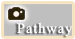 Pathway